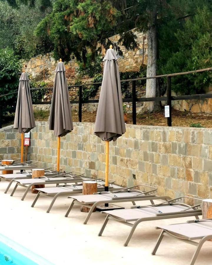 Agriturismo Osteria Du Barba Pe' - Casa Cassini Бордихера Екстериор снимка