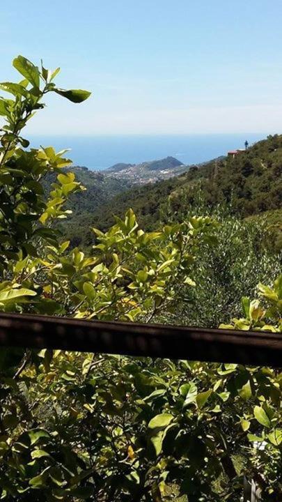 Agriturismo Osteria Du Barba Pe' - Casa Cassini Бордихера Екстериор снимка